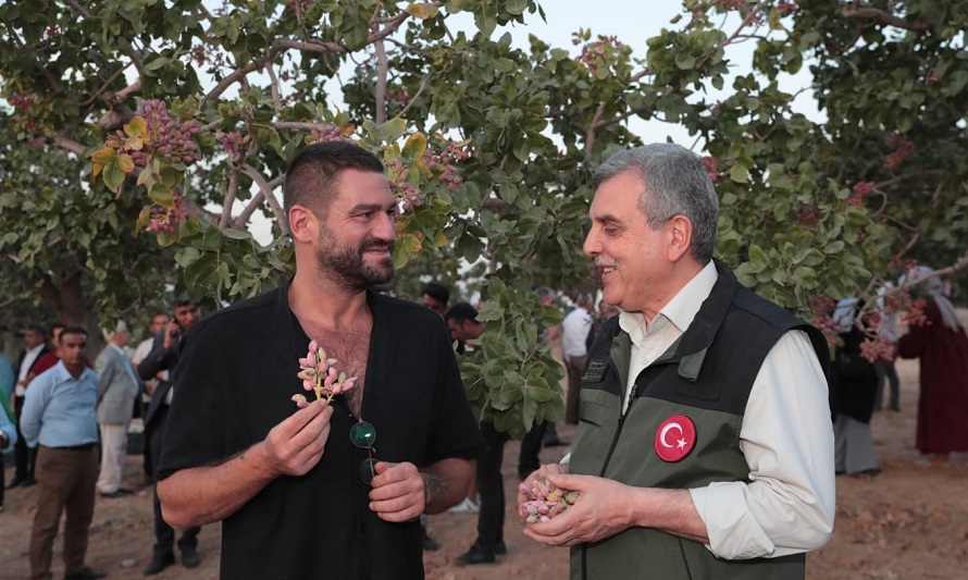 ”Dünya’da fıstığın merkezi Şanlıurfa’dır”