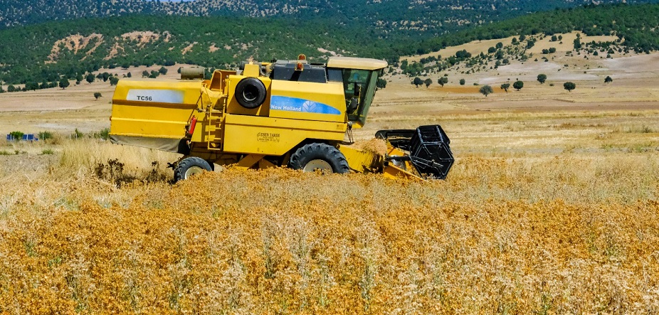 Çiftçinin Aspir hasadı sevinci