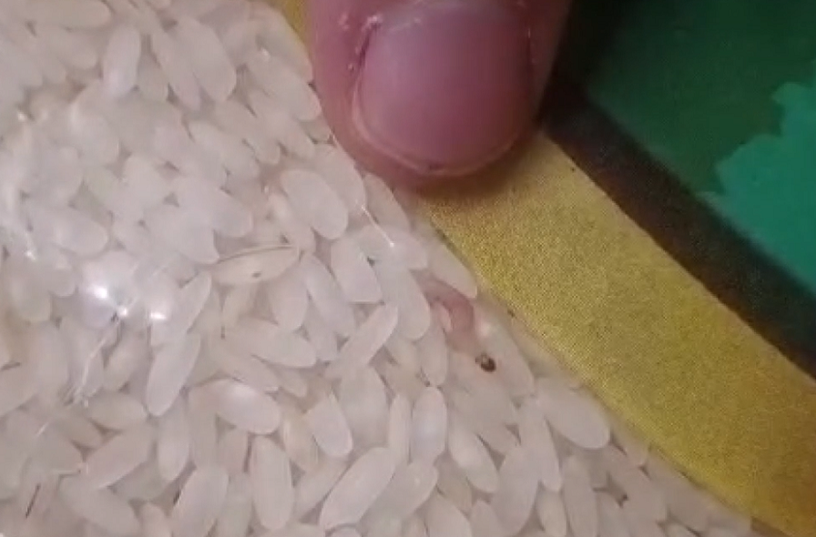 Kurtlanmış pirinç ele geçirildi