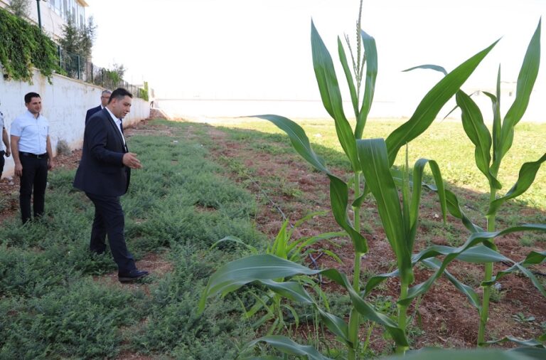 Hastalara “hobi bahçesi ile tarla terapisi ”uygulanıyor