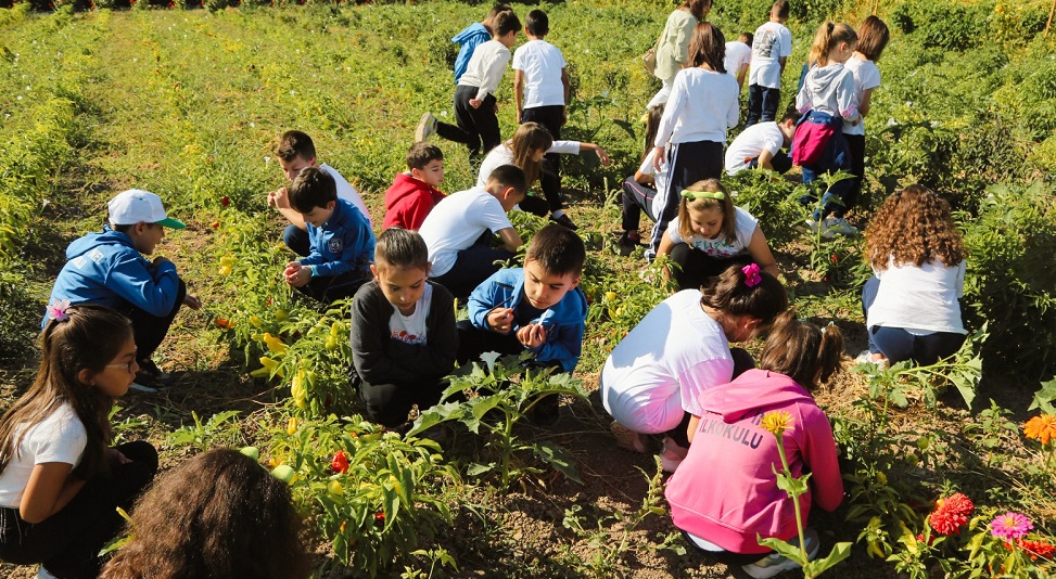 Öğrencilere yerel tohum heyecanı