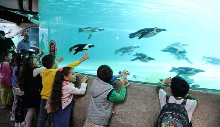 Çocukların hayvan sevgisi