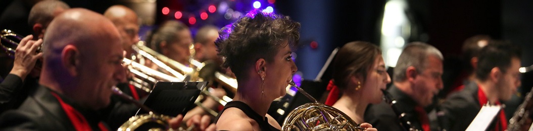 Sanfoni orkestrası’ından yeni yıl konseri