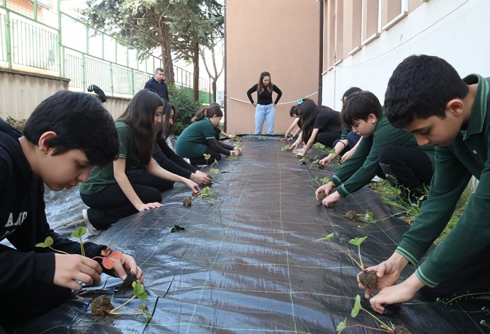 Çilek ve marul dikerek tarımla tanıştılar