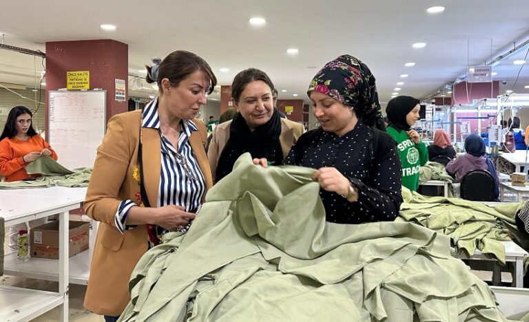 Dem Partisi seçim çalışmaları devam ediyor