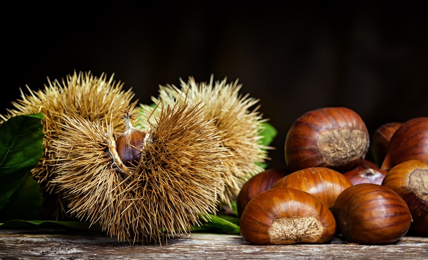 Bursa kestanesi tescillendi