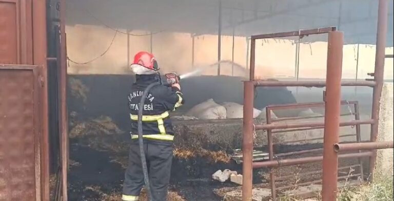 Şanlıurfa’da Çiftlik yangını korkuya neden oldu