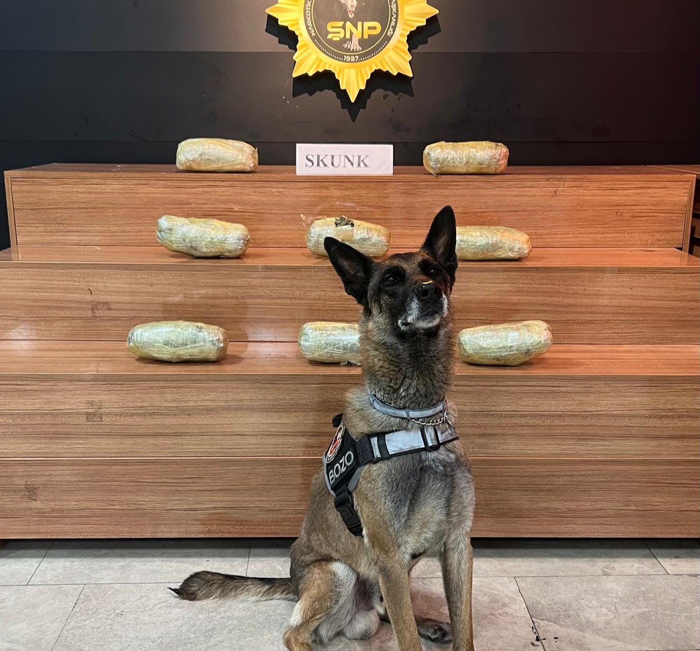 Şanlıurfa’da Uyuşturucu Operasyonu: 4 Kilo 100 Gram Skunk Ele Geçirildi