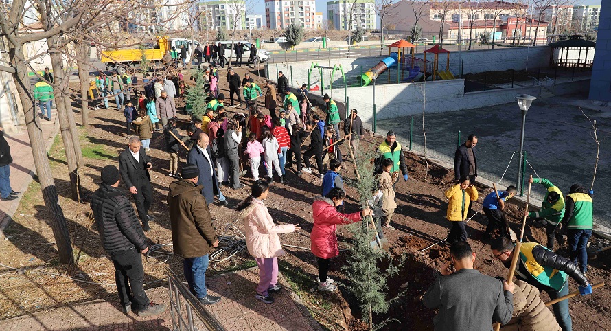 Okul Bahçeleri Ağaçlandırılıyor
