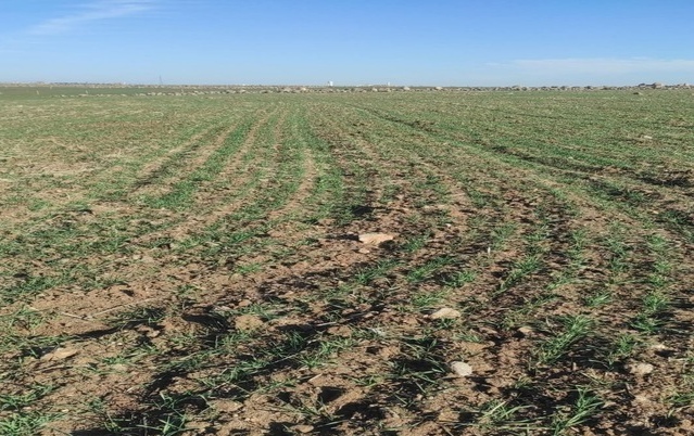 Kuraklık Tehdidi Altındaki Çiftçilerden Kritik Baraj Suyu Talebi