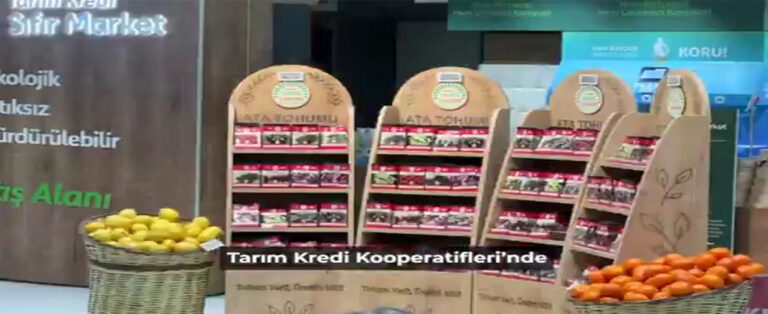 Ata Tohumları Satışa Sunuldu!