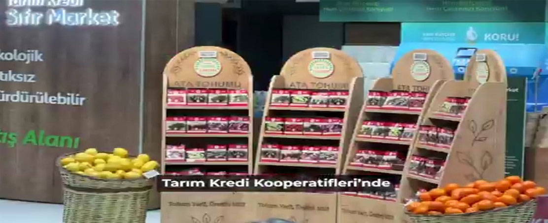 Ata Tohumları Satışa Sunuldu!