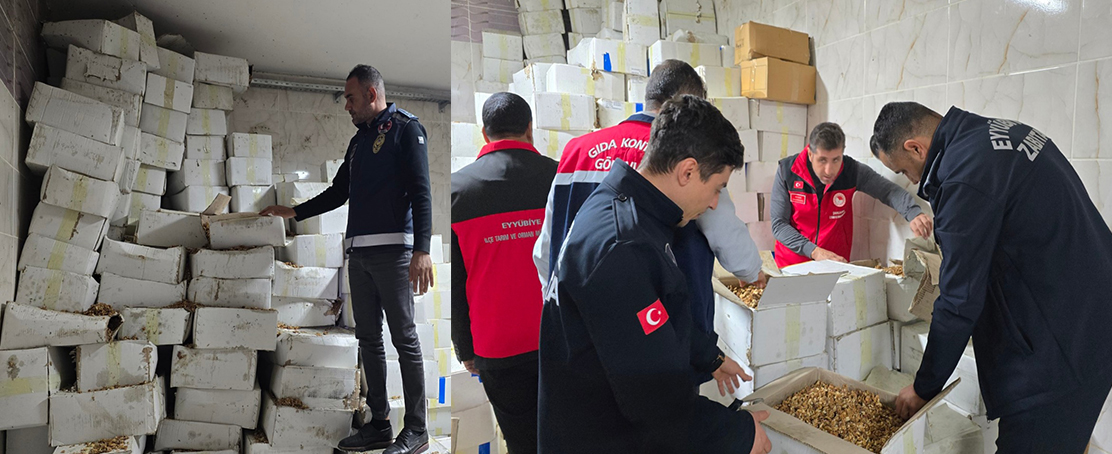 Baklava İmalatçısında Tonlarca Bozulmuş Ceviz Ele Geçirildi!