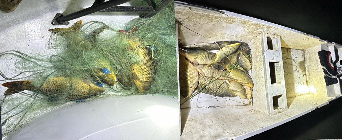 Şanlıurfa’da Kaçak Balık Avcılığına Rekor Ceza!