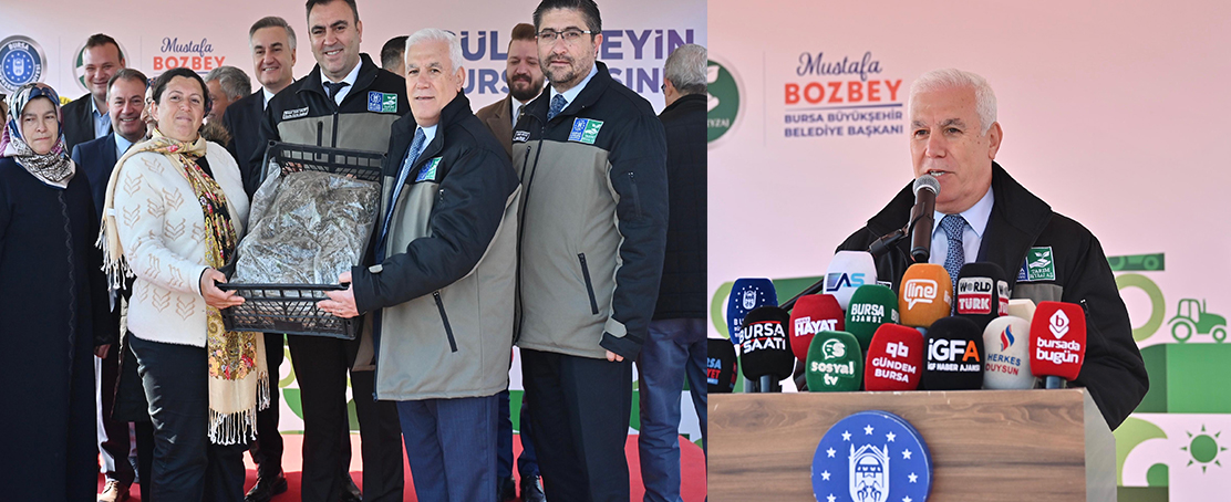 Büyükşehir’den Çiftçiye Büyük Destek:1 milyon 222 Bin Adet Çilek Fidesi!