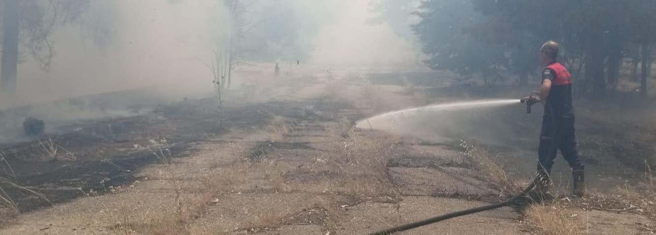 Bozova’da Korkutan Orman Yangını!