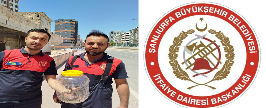 Karaköprü’de Bir Eve Yılan Girdi!