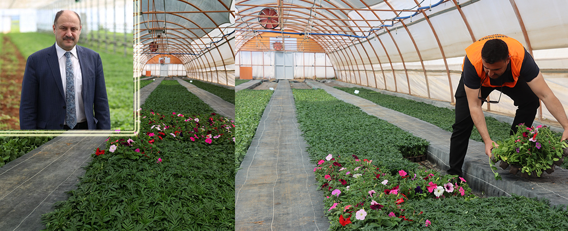 Şanlıurfa, Ata Tohumları ve Akıllı Tarım ile Türkiye’nin Tarım Üssü Oluyor!