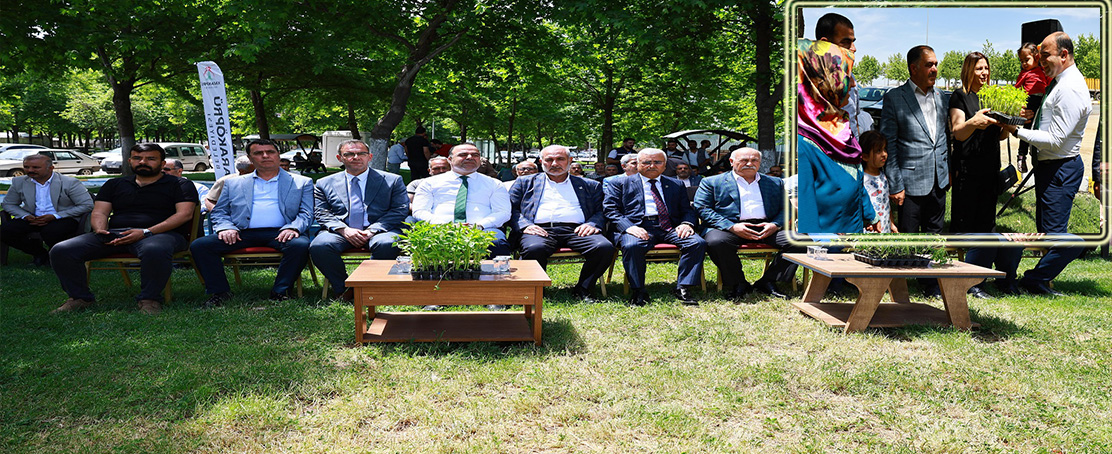 Ata Tohumları Toprakla Buluşuyor!