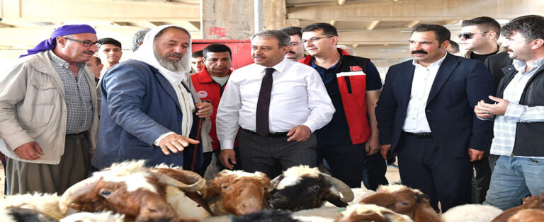 Valilik Açıkladı; Şehirdeki Kurban Satış Ve Kesim Yerleri Belli Oldu!