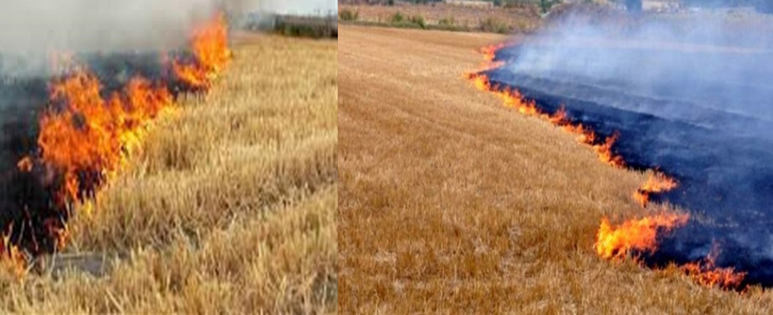  Valilik Uyardı! İdari Para Cezası Uygulanacak!