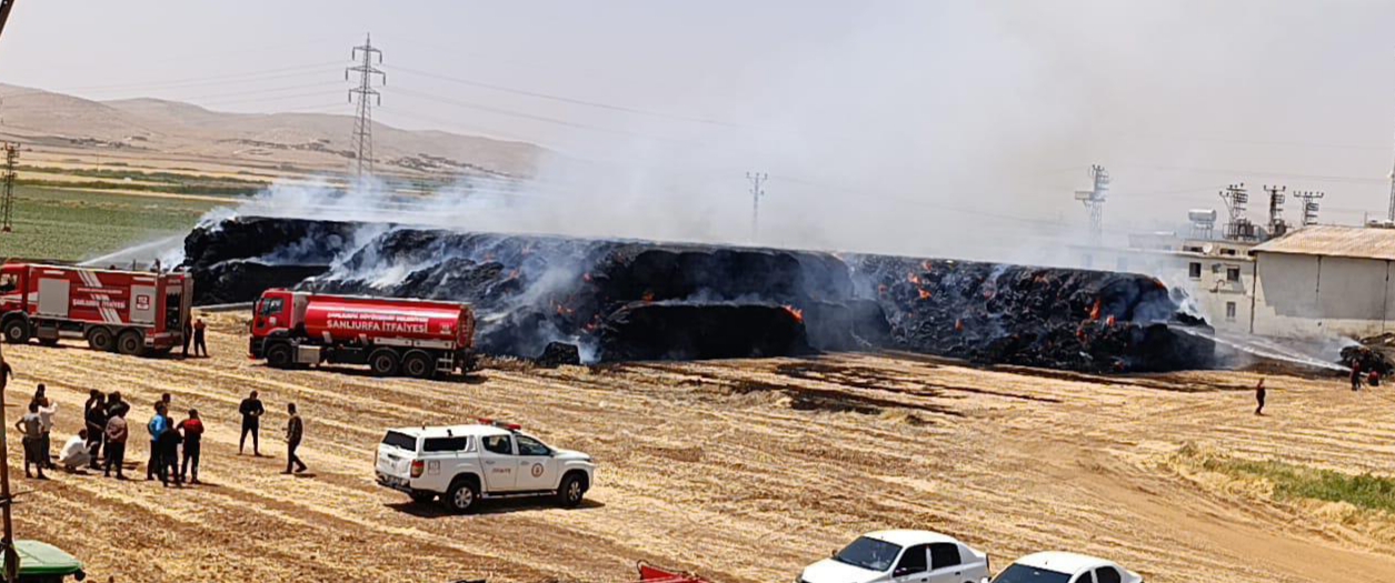 Urfa’da Korkutan Yangın!