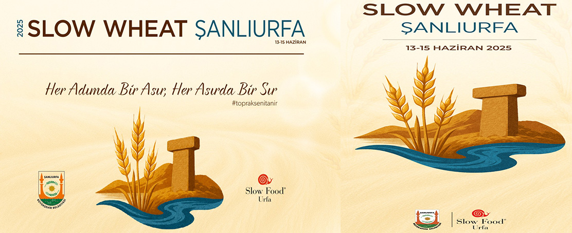 Büyükşehir Belediye’si, 2025: Buğday, Kültür Ve Gastronomi Festivali!