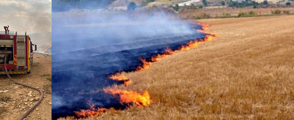 Şanlıurfa İtfaiyesi, Son 24 Saatte 48 Anız Yangınına Müdahale Etti!
