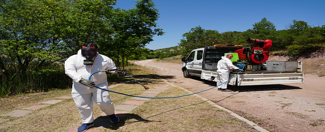 Büyükşehir Belediyesi’nden Kene Sorununa Doğal Çözüm!