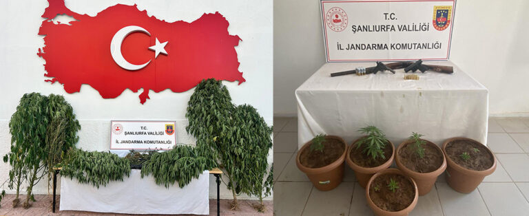 Zehir Tacirlerine Büyük Darbe!