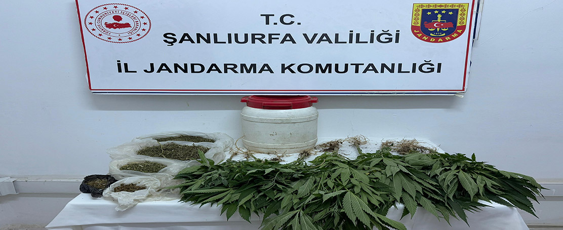 Zehir Tacirlerine Operasyon!