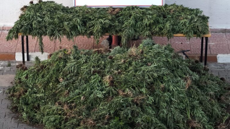 Siverek’te Zehir Tacirlerine Dev Operasyon!