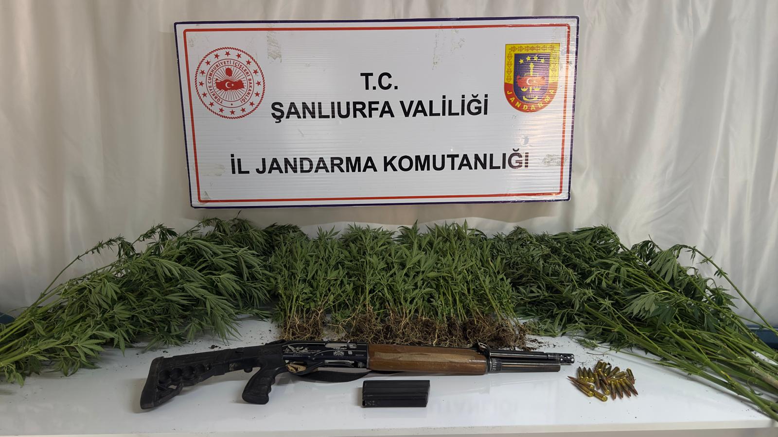 Zehir Tacirlerine Dev Operasyon: Uyuşturucu Madde Ve Silah Ele Geçirildi!