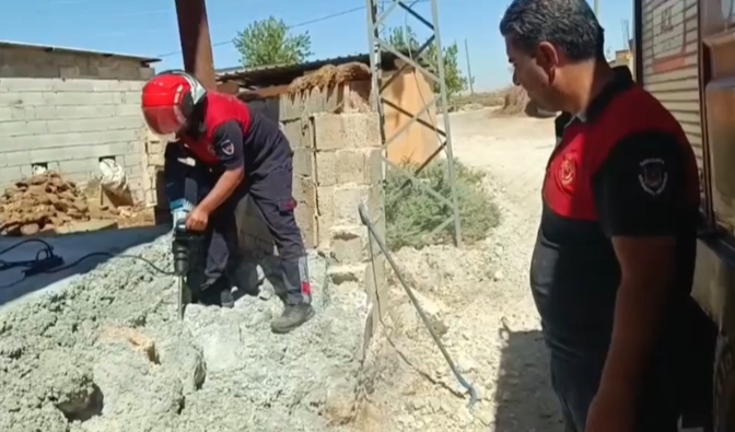 Harran’da Yavru Kediler Kurtarıldı!