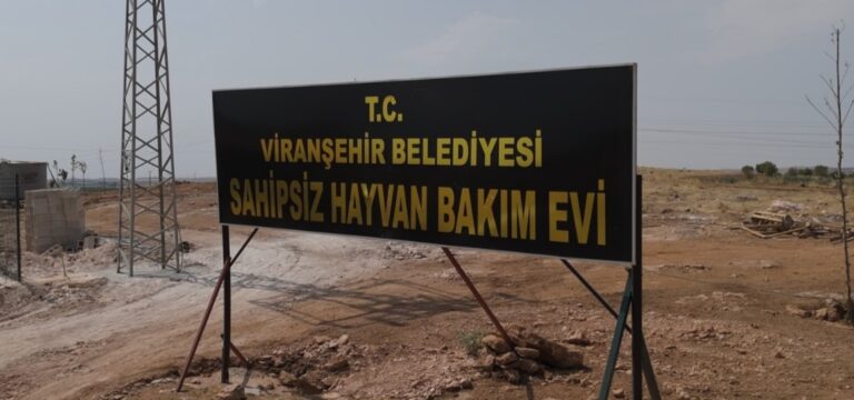 Viranşehir Belediyesi’nden Sokak Hayvanlarına Modern Barınak!
