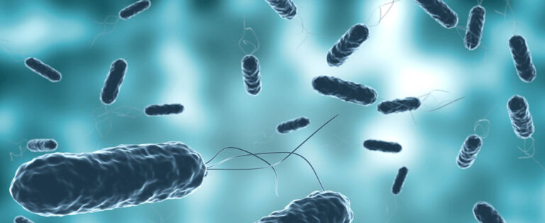 Plajlarda Et Yiyen Bakteri Alarmı!