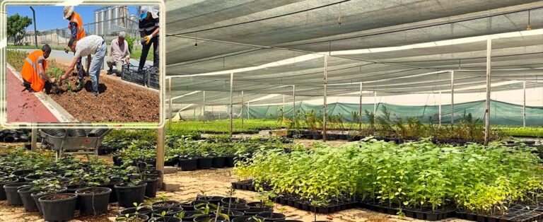 Eyyübiye’nin Çiçekleri Eyyübiye Serakent’ten!