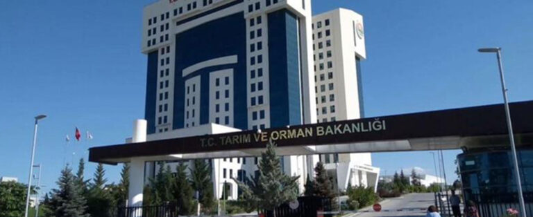 Tarım Bakanlığı’ndan Kırsalda Hayvancılık Desteği!