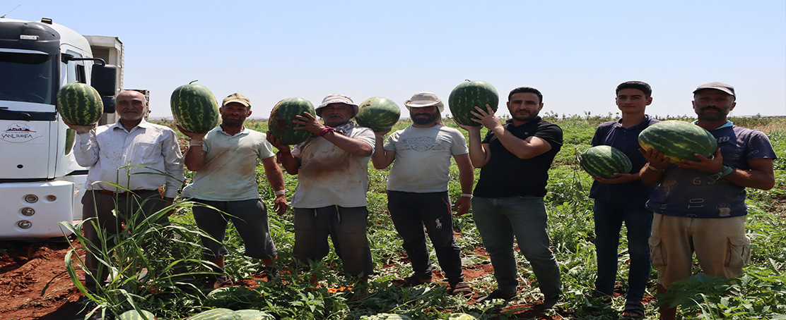 Büyükşehir’den Üreticiden Tüketiciye Dayanışma Köprüsü!