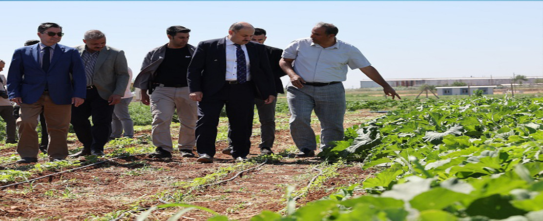Gülpınar: Ata Tohumlarını Yaşatmak Geleceğe Yatırımdır!