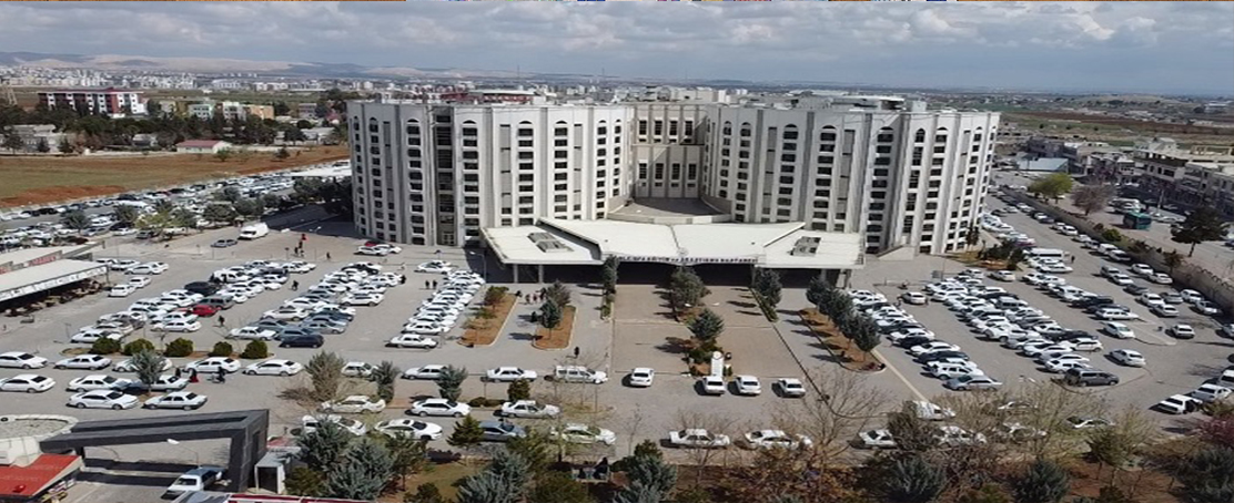 Nadir Görülen Kist Hidatik Vakası Başarıyla Tedavi Edildi!