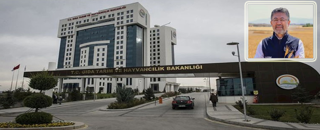 Türkiye Tarımsal Hasılada Rekor Kırdı!