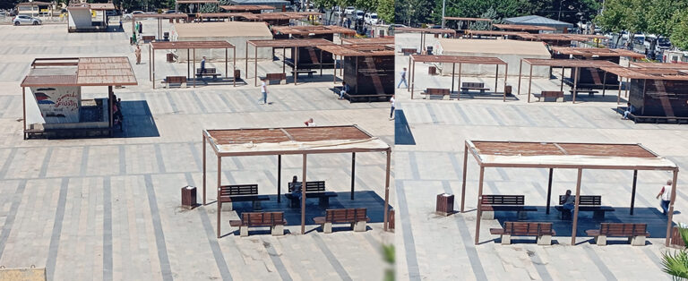 Topçu Meydanı’ndaki Kamelyalar Bakımsızlıktan Çürüyor!