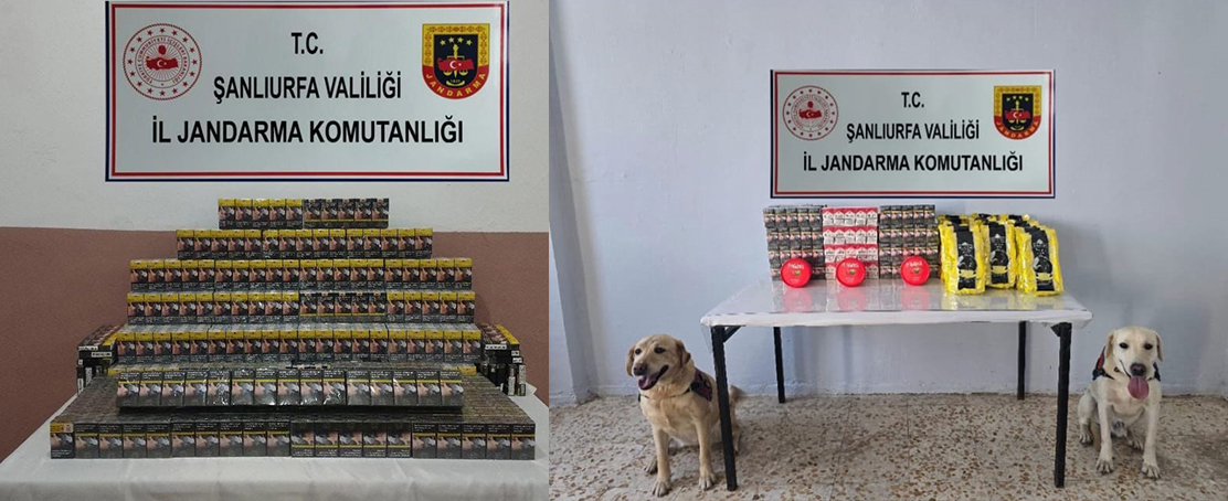 Sigara Kaçakçılığına Geçit Yok; Binlerce Kaçak Sigara Paketi Ele Geçirildi!