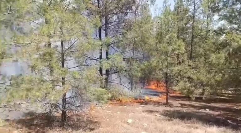 Ormanlık Alanda Yangın!