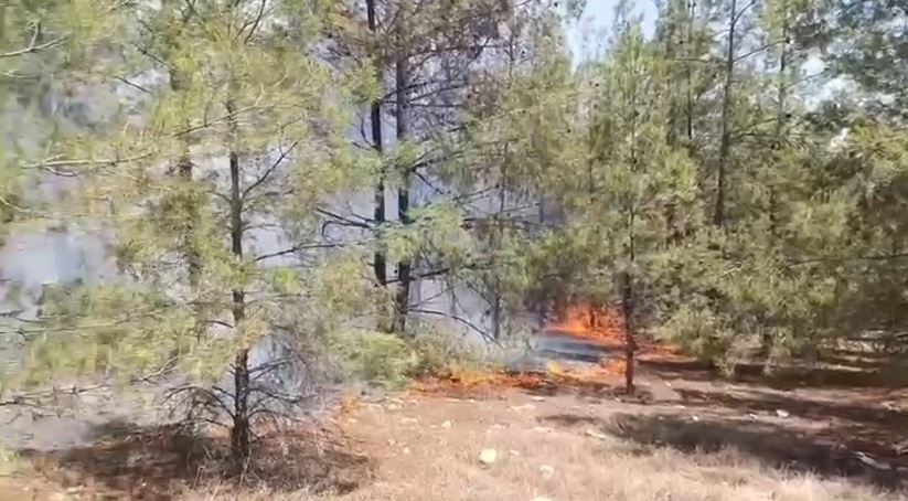 Ormanlık Alanda Yangın!