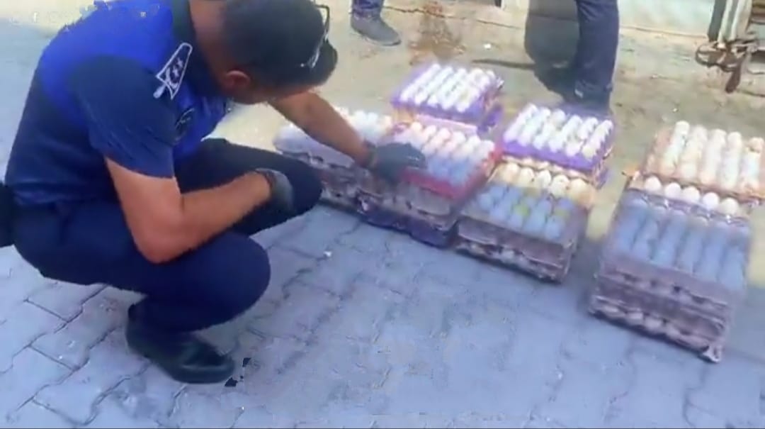 Eyyübiye’de Gıda Denetimleri Devam Ediyor: Onlarca Koli Bozuk Yumurta Ele Geçirildi!