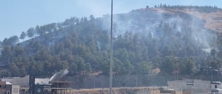 Ağaçlık Alanda Yangın Çıktı!