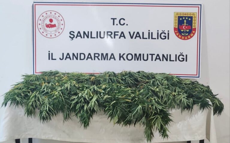 Zehir Tacirlerine Geçit Yok!