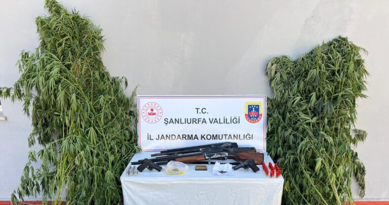 Zehir Tacirlerine Dev Operasyon!